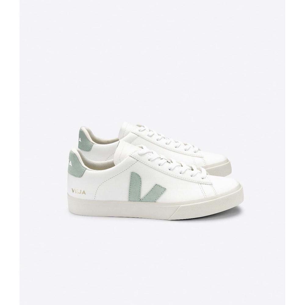 Veja CAMPO CHROMEFREE Low Tops Sneakers Herre White/Green | NO 196NWY